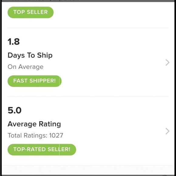 New ZARA tropical flower stud earrings - Picture 12 of 13